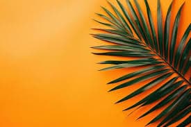 solid background images